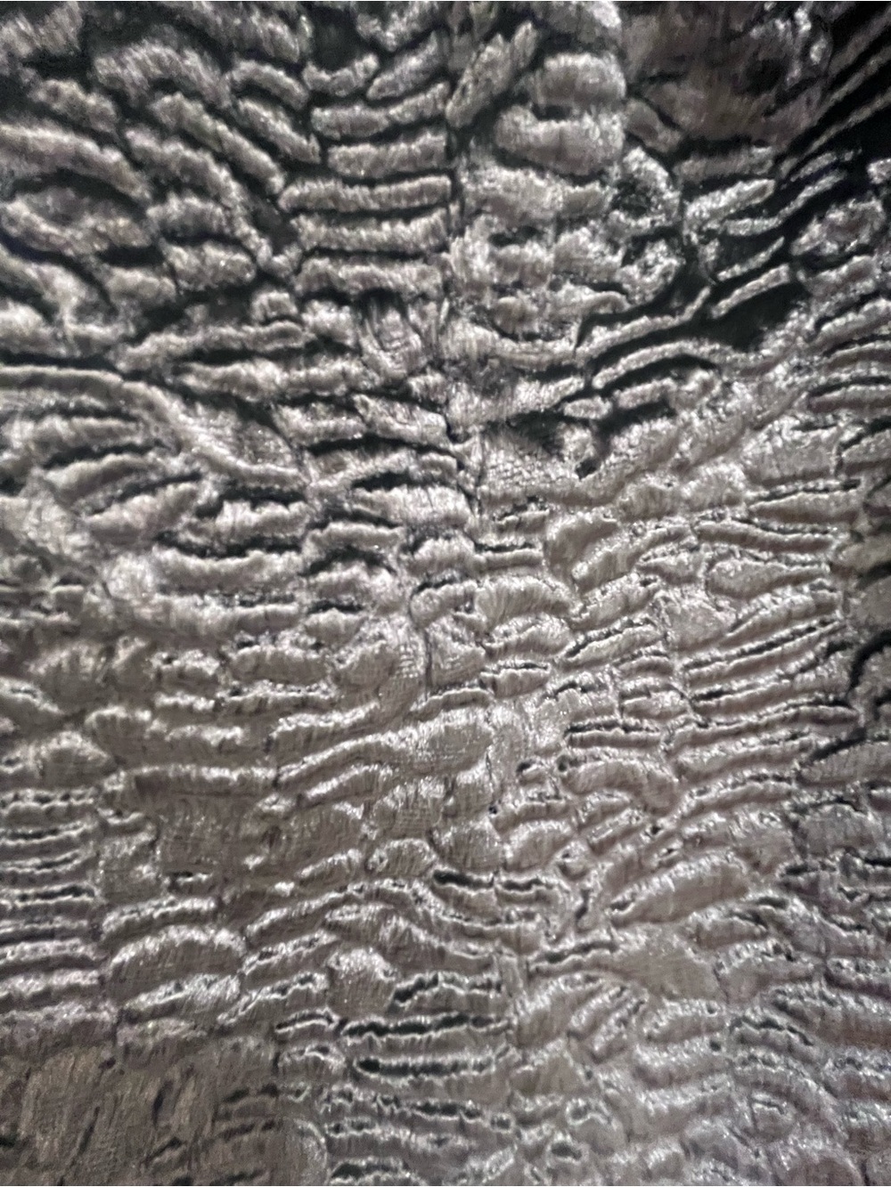 Gray Faux Fur Textured Teddy Jacket - Picture 4 of 4